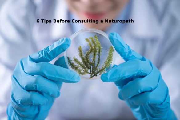 6 Tips Before Consulting a Naturopath