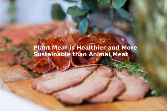 Plant Meat is Healthier and More Sustainable than Animal Meat