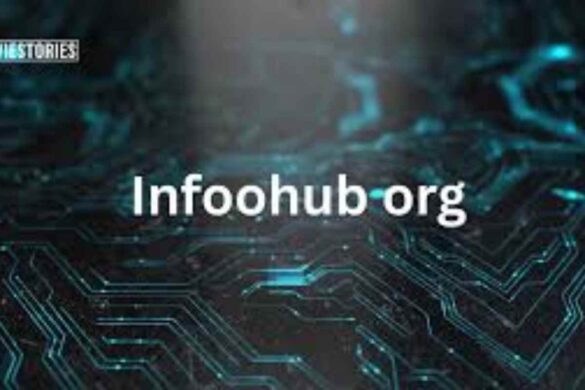 infoohub org platform review_ quality information
